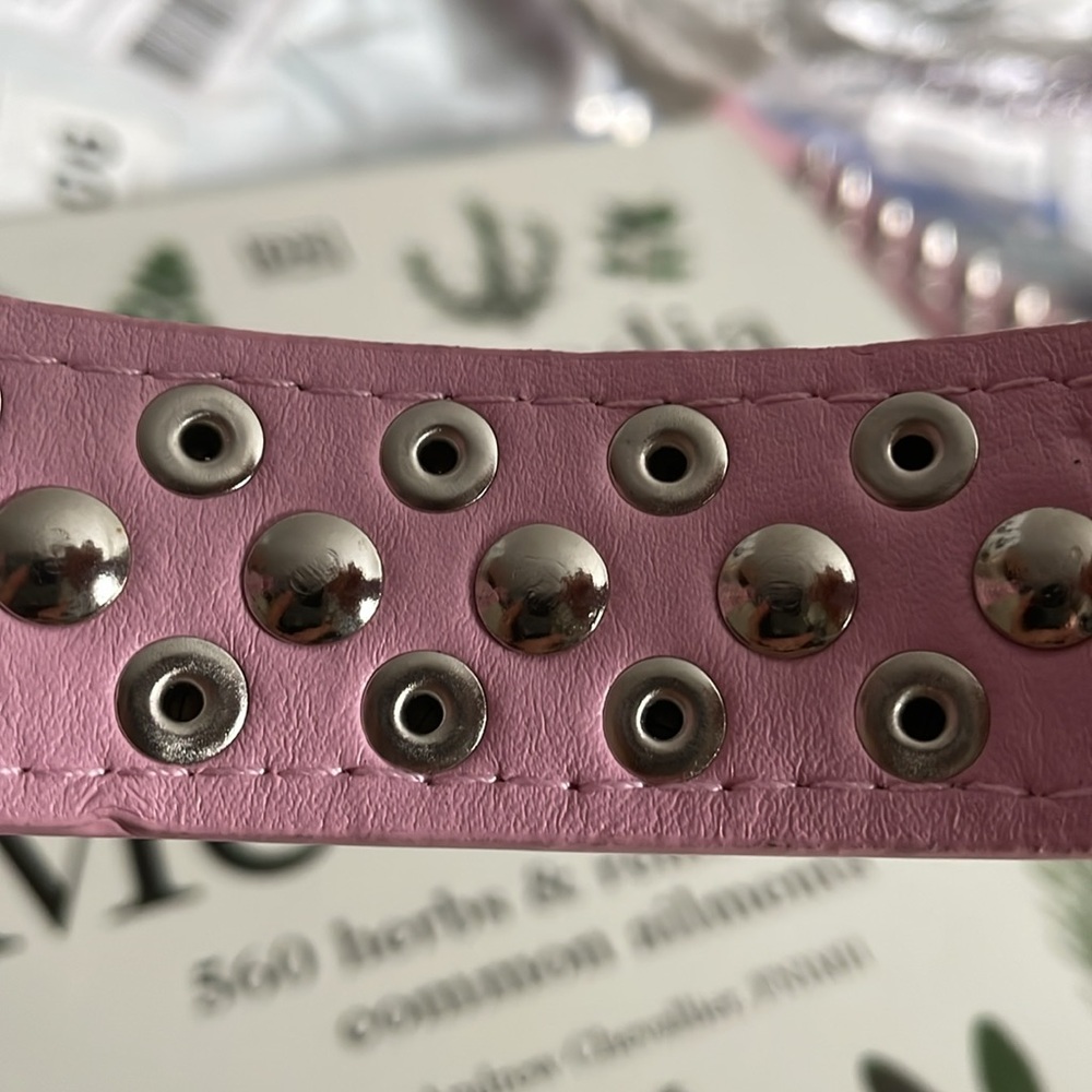 Pink Collar - Picture 3 of 6